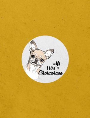 chihuahua portfolio 