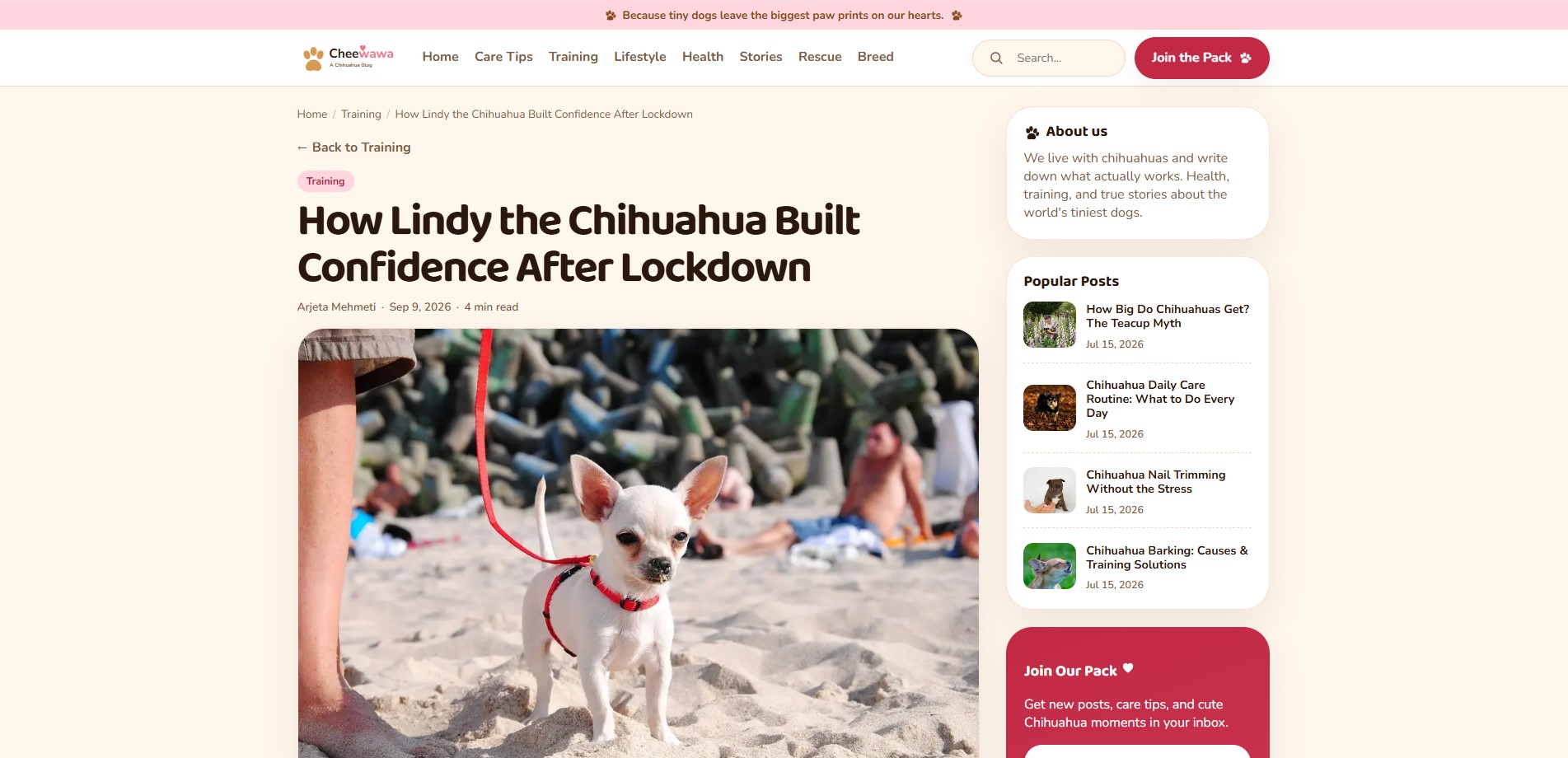 Chihua Corner