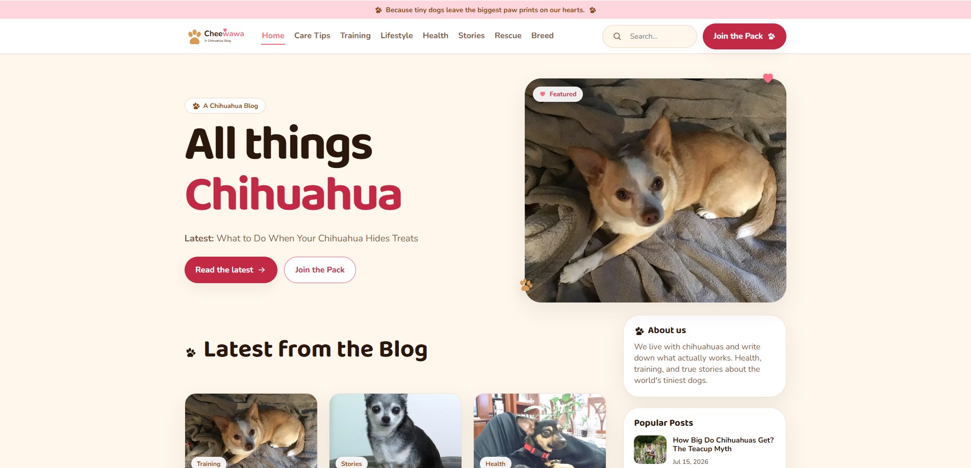 Chihua Corner