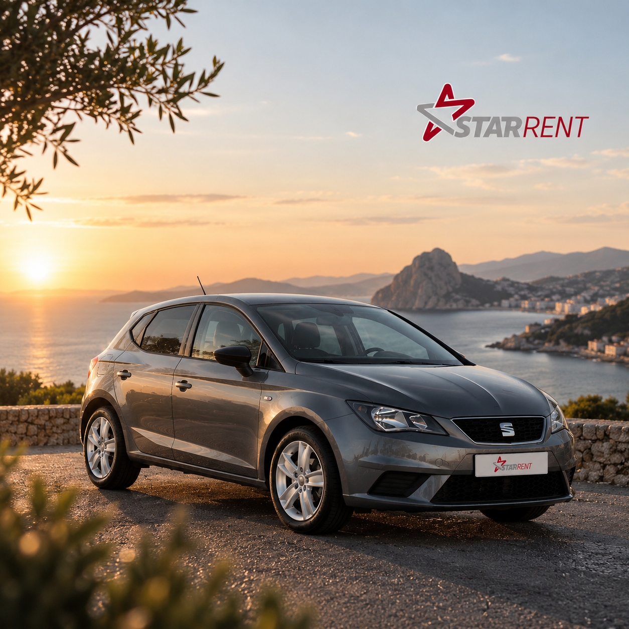 Star Rent case study