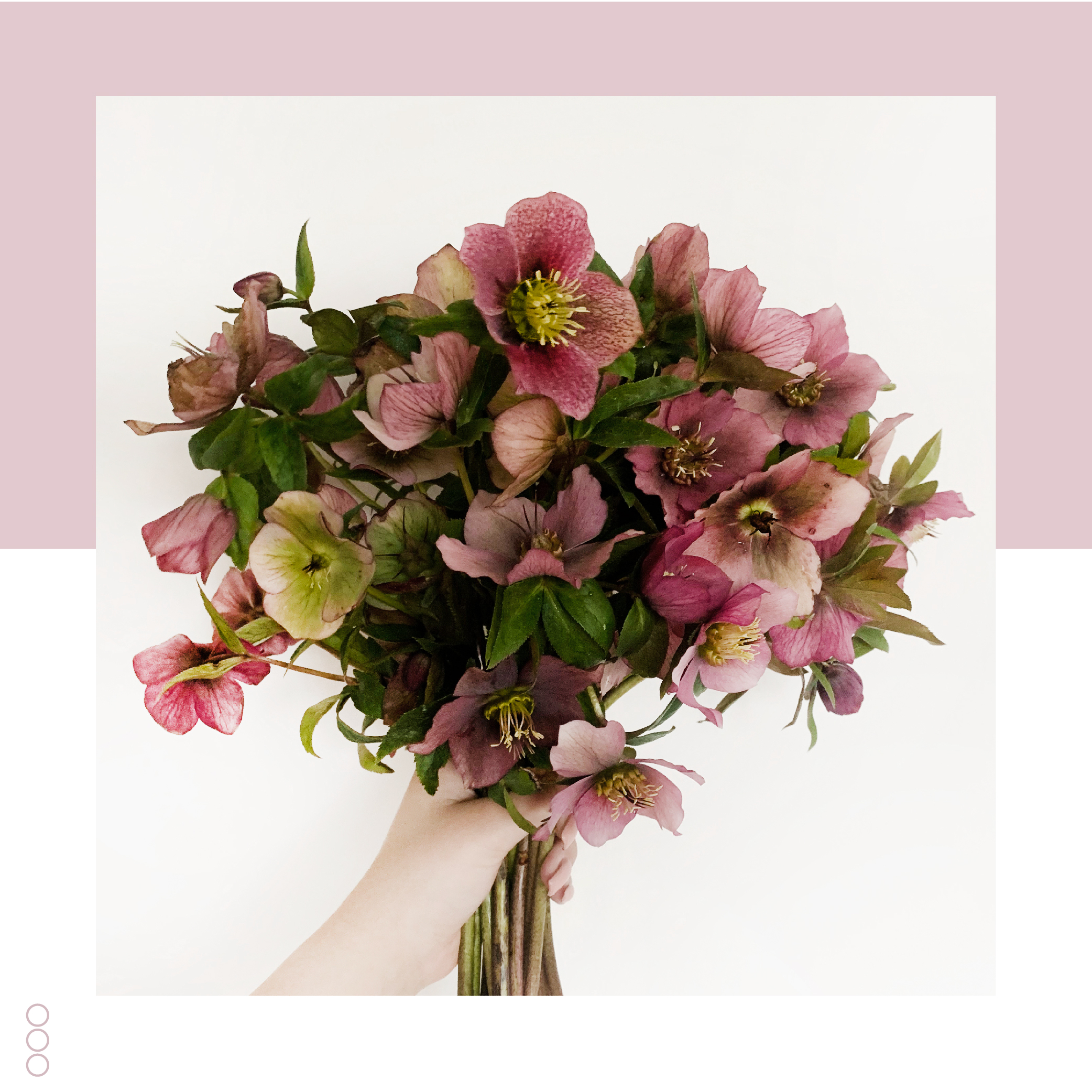 WildFlower Wedding & Event Design