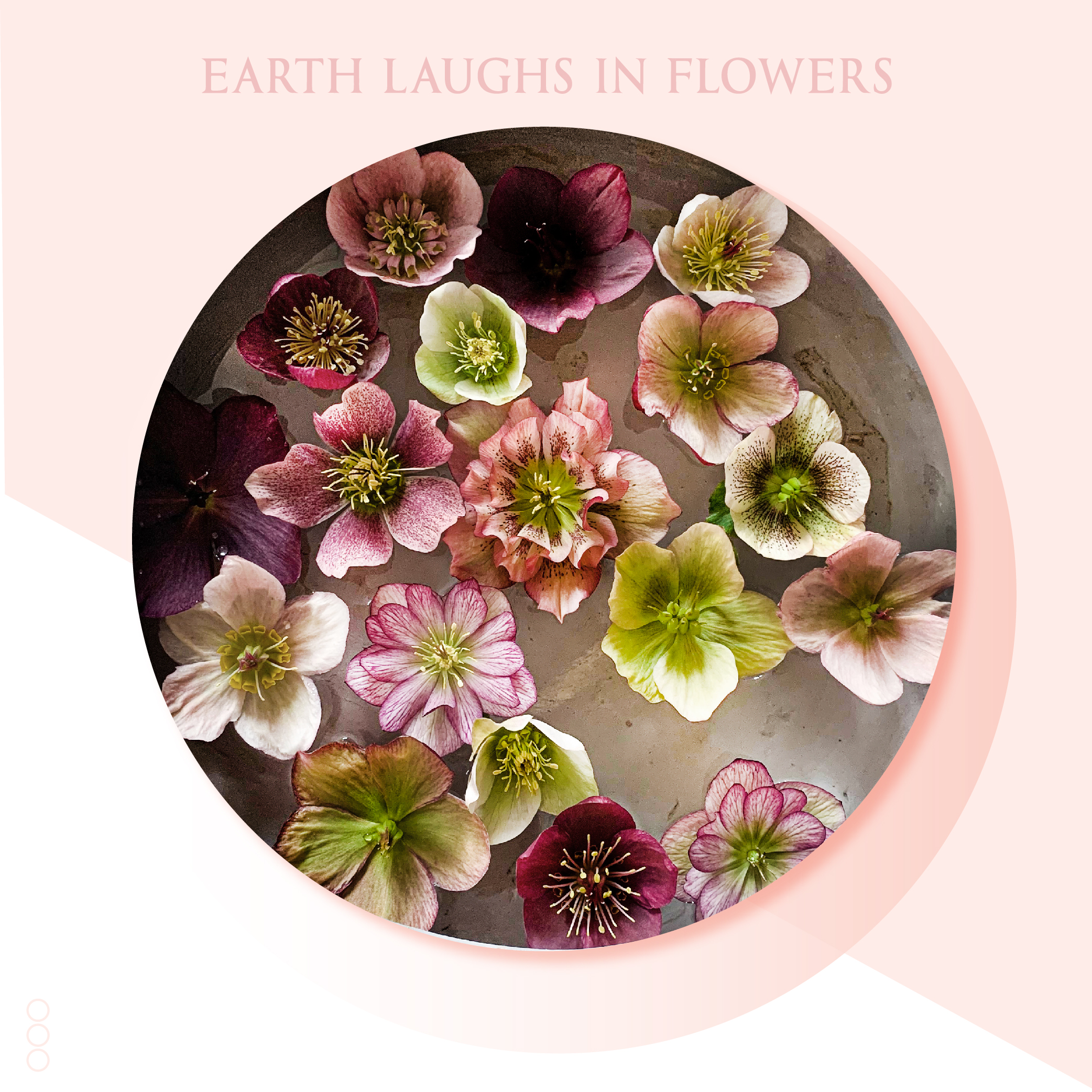 WildFlower Wedding & Event Design